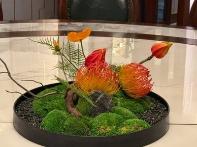 guest photo