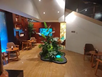 guest photo