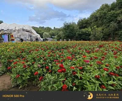 guest photo