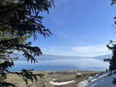 guest photo