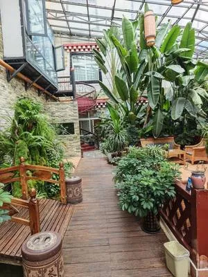 guest photo