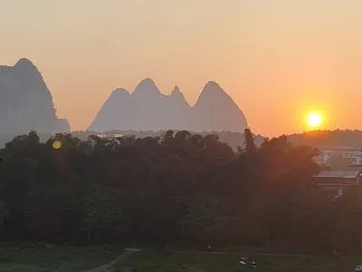 guest photo