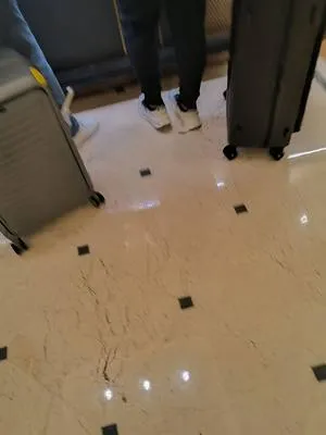 guest photo