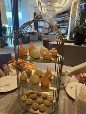 guest photo