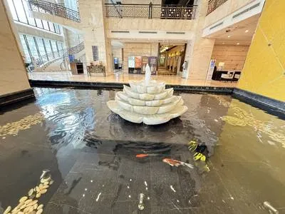 guest photo