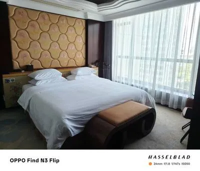 guest photo
