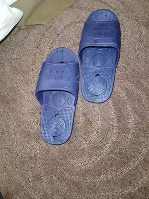 guest photo