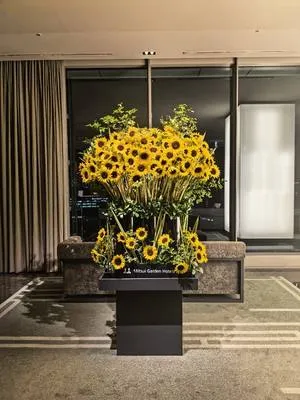 guest photo