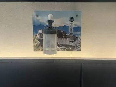 guest photo
