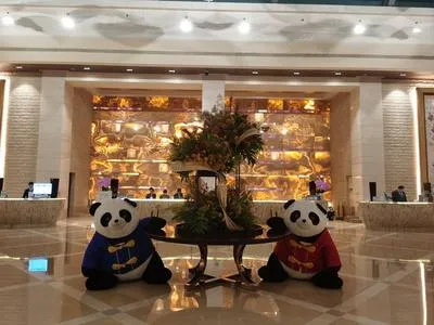 guest photo