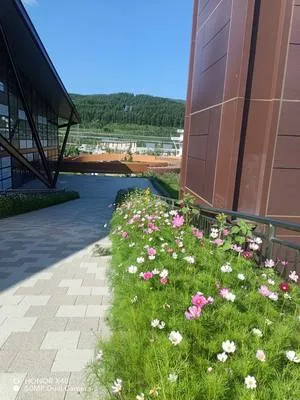 guest photo