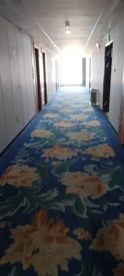 guest photo