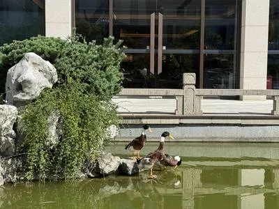 guest photo