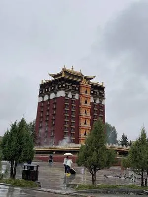 guest photo