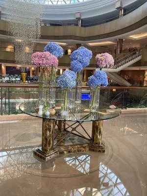 guest photo