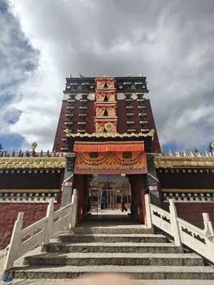 guest photo