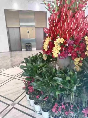guest photo