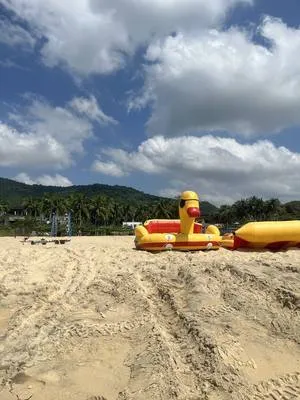 guest photo