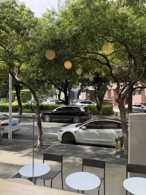 guest photo