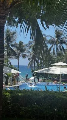 guest photo