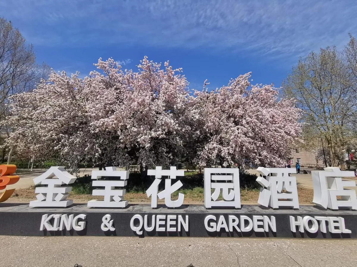 Beijing Jinbao