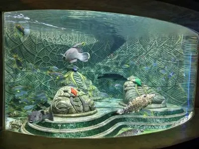 guest photo