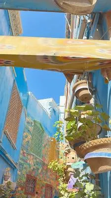 guest photo