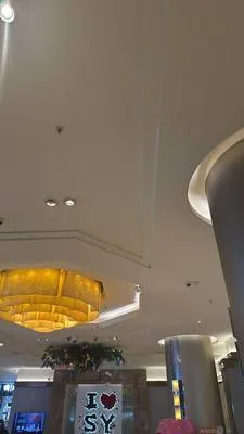 guest photo