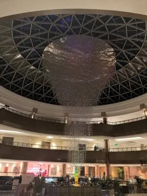 guest photo