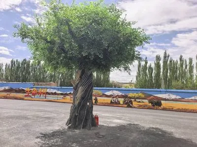 guest photo