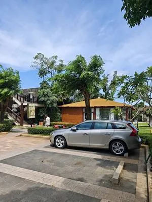 guest photo