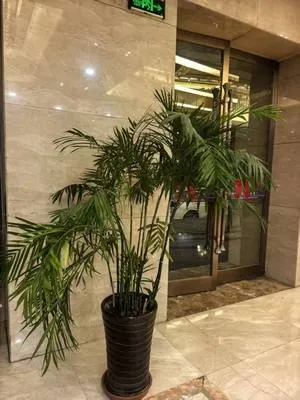 guest photo