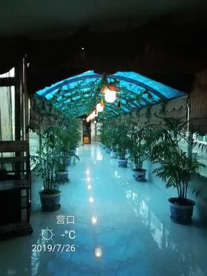 guest photo