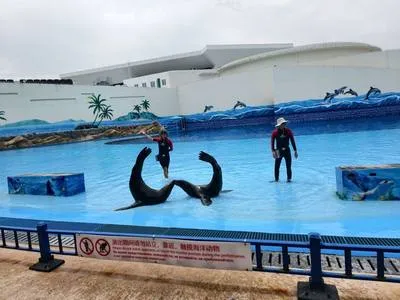 guest photo