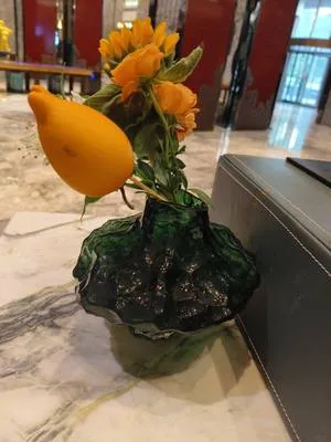 guest photo