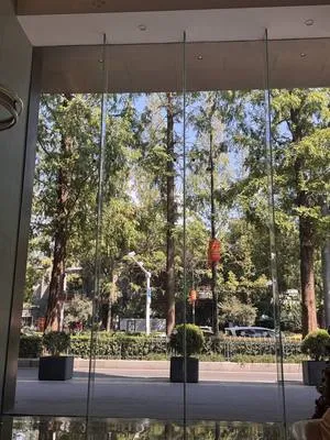guest photo