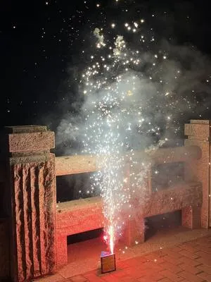 guest photo