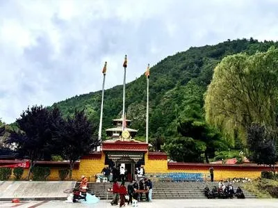 guest photo