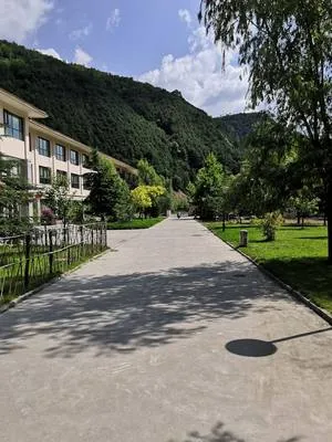 guest photo