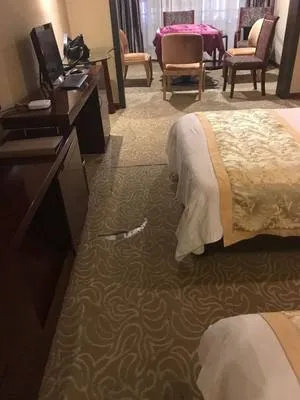 guest photo