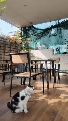 guest photo