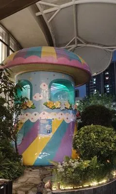 guest photo