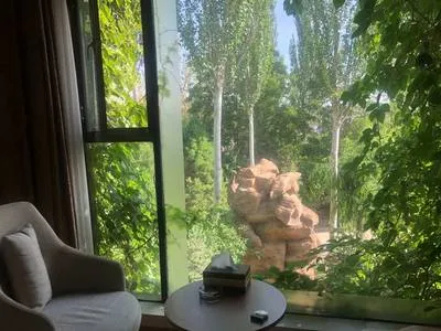 guest photo