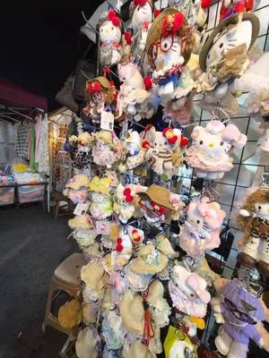 guest photo