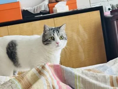 guest photo