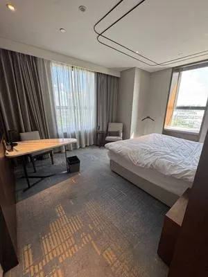 guest photo