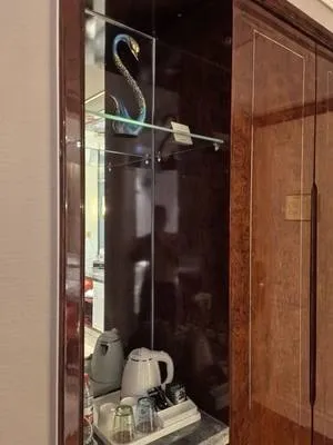 guest photo