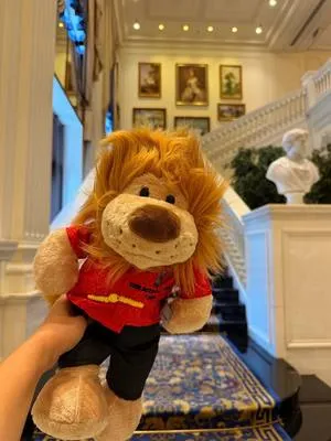 guest photo