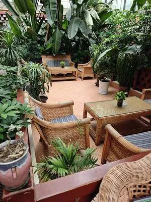 guest photo
