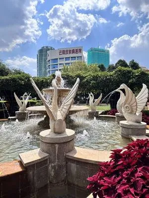 guest photo